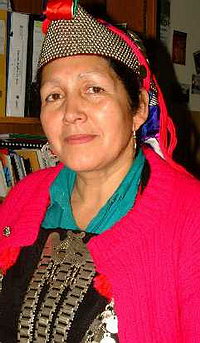 Mapuche. Carta abierta: Violaciones a los Derechos Humanos en Chile