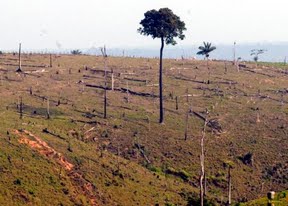 Proyecto Censurado: La Amazonía occidental y sus pueblos indígenas están amenazados por la explotación petrolera
