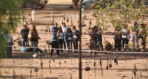 Argentina, Mendoza: La Justicia comenzó a excavar las tumbas del cementerio de la Capital