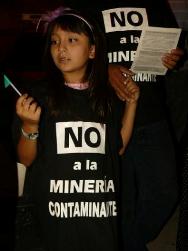 Minería en Argentina: «El Poder Judicial está muy lejos de conocer las necesidades de la población»